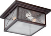 SATCO/NUVO Vega 2-Light Outdoor Flush Fixture With Clear Seed Glass (60-5616)