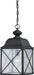 SATCO/NUVO Wingate 1-Light Outdoor Hanging Fixture With Clear Seed Glass (60-5624)