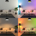 Feit Electric Color Changing A19 Party Bulb (A19/RGBY/6WY/LEDI)