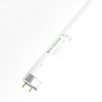 Osram 21623 18 Inch T8 Fluorescent (F15T8/350BL/ECO)