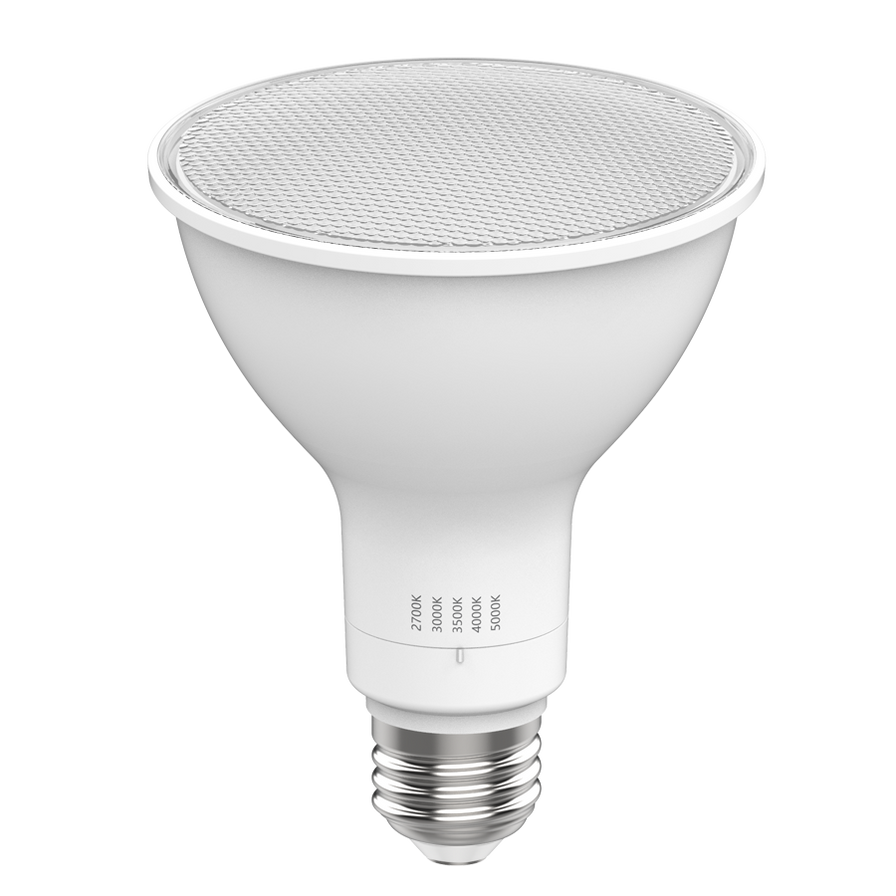 RAB PAR30LFA-11-9CCT-40D-DIM 11W LED PAR30L Lamp E26 Base — Lighting Supply