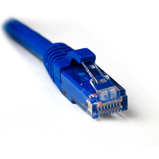 Pass And Seymour 1 Foot CAT6 Patch Cable-Blue (AC3601BEV1)