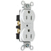 Pass And Seymour 15A 125V Construction Grade Duplex Receptacle Smooth Face White (CRB5262SW)