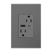 Pass And Seymour 15A 125V Duplex Tamper-Resistant Receptacle And Dual USB Type AC 6A Magnesium (ARTRUSB156ACM4)
