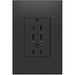 Pass And Seymour 15A Duplex Outlet With Dual USB Gray (ARTRUSB153G4)