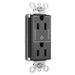 Pass and Seymour 15A Half Controlled Plugtail Receptacle Black  (PT26252SCCTBK)