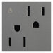 Pass And Seymour 15A Tamper-Resistant Dual Controlled Outlet Magnesium (ARCD152M10)