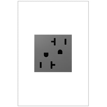 Pass And Seymour 2-Module Tamper-Resistant Outlet 20A Magnesium (ARTR202M4)