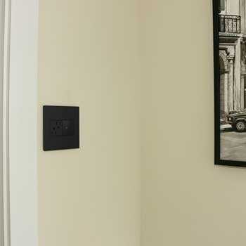 Pass And Seymour 2-Module Tamper-Resistant Outlet 15A (ARTR152G4)