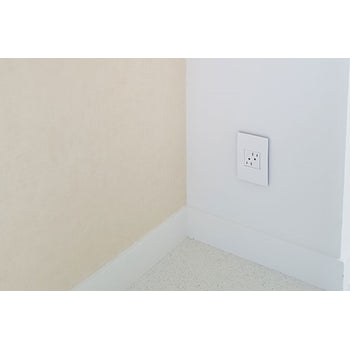 Pass And Seymour 2-Module Tamper-Resistant Outlet 15A (ARTR152W4)