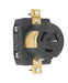 Pass And Seymour 2-Pole 3-Wire 125V Receptacle (CS6370)