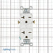 Pass And Seymour 20A 250V Duplex Receptacle White (5850W)