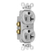 Pass And Seymour 20A Dual-Controlled Duplex Receptacle Gray (5362CDGRY)