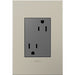 Pass And Seymour 3-Module Tamper-Resistant Outlet 15A Magnesium (ARTR153M4)