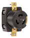 Pass And Seymour 3-Pole 4-Wire 3 Phase 250V Receptacle (CS8369)