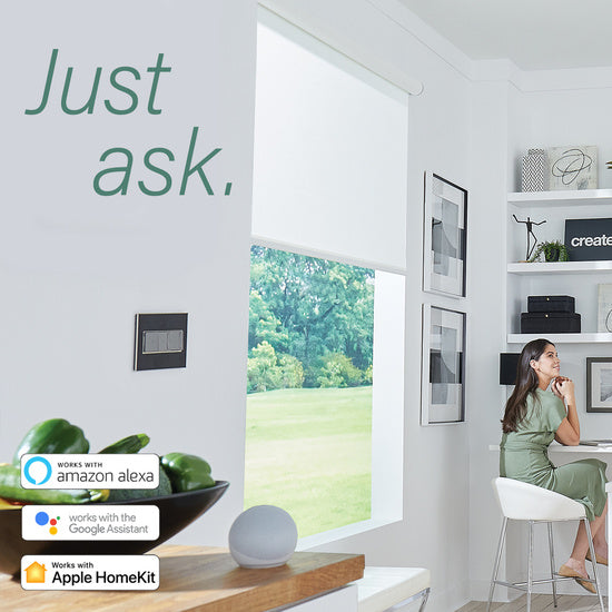 Pass and Seymour Adorne Netatmo Wireless Switch Graphite  (WNAL23G1)