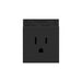 Pass and Seymour Adorne Tamper-Resistant Single Outlet 15A Graphite  (ARTR151G10)