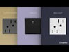 Pass And Seymour Black Stainless 1-Gang Wall Plate (AWM1G2BLS4)