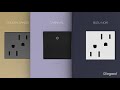 Pass And Seymour Black Stainless 2-Gang Wall Plate (AWM2GBLS4)