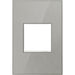 Pass And Seymour Brush Stainless 1-Gang 2-Module Wall Plate (AWM1G2MS4)