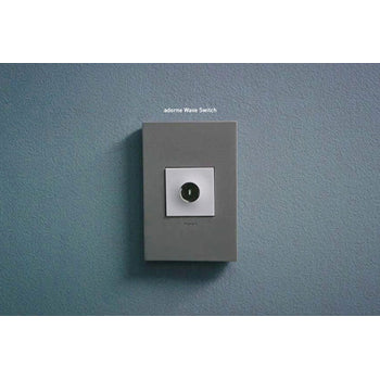 Pass And Seymour Brushed Stainless Steel 1-Gang 2-Module Wall Plate (AWC1G2BS4)
