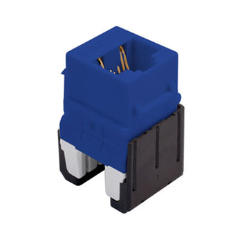 Pass And Seymour CAT6a Quick/Click RJ45 Keystone Connector Blue (WP346ABE)