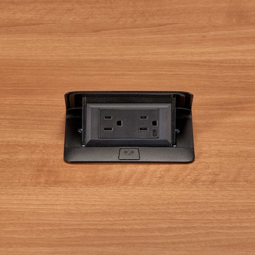 Pass And Seymour deQuorum Flip-Up Field Wired With 15A Receptacle Black (DQFF15BK)