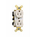 Pass And Seymour Duplex Receptacle 15A/125VAC Gray (5262AGRY)