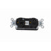 Pass And Seymour Duplex Receptacle 20A/125V Black (PT5362BK)