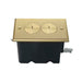 Pass And Seymour Floor Box Single Duplex Receptacle Brass (FB1TRDRB)