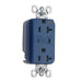 Pass And Seymour Isolated Ground TVSS Receptacle 20A 125V Alarm Blade (IG5362BLSP)
