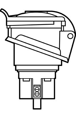 Pass And Seymour Panel Socket-Inclined 230V/16A 2P And Ethernet (52022)
