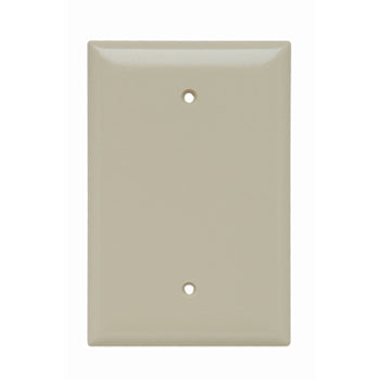 Pass And Seymour Plastic Plate Jumbo 1-Gang Blank Without Line (SPO13I)