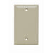 Pass And Seymour Plate Plastic 1-Gang Blank Without Line Ivory (SP13I)