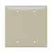 Pass And Seymour Plate Plastic 2-Gang Blank Without Line Ivory (SP23I)