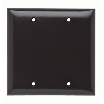 Pass And Seymour Plate Plastic 2-Gang Blank Without Line (SP23)