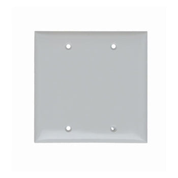 Pass And Seymour Plate Plastic 2-Gang Blank Without Line White (SP23W)