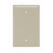 Pass And Seymour Plastic Plate Junior Jumbo 1-Gang Blank Without Line Ivory (SPJ13I)