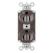 Pass and Seymour Plugtail Plugload Duplex 15A 125V Half Controlled Brown  (PT5262SCCH)