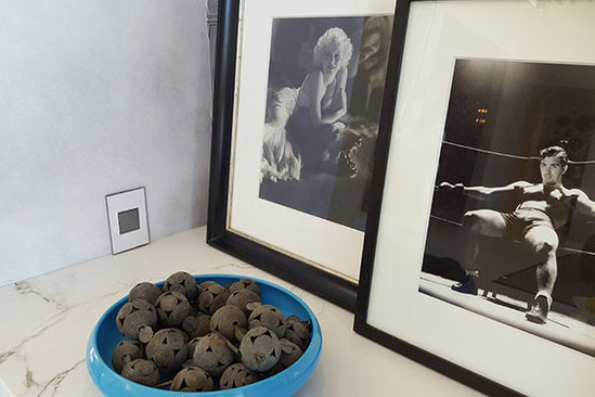 Pass And Seymour Popout 20A Duplex Outlet Kit 1-Gang Magnesium (ARPTR201GM2)