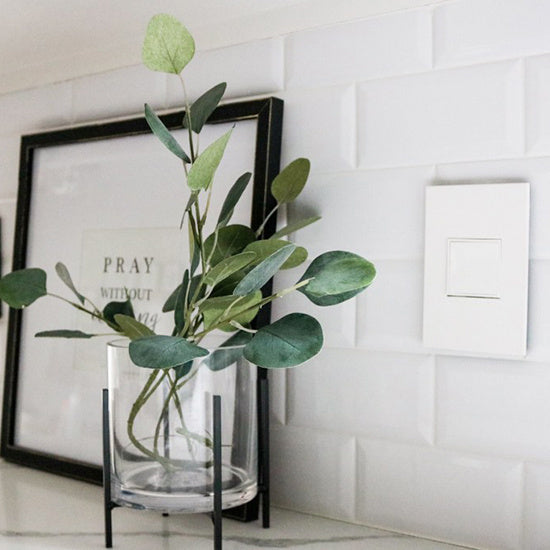 Pass And Seymour Popout 20A Duplex Outlet Kit 1-Gang White (ARPTR201GW2)