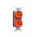 Pass And Seymour PlugTail Isolated Ground Duplex Receptacle Corrosion-Resistant 20A/125V Orange (PTIG5362)