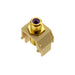 Pass And Seymour Purple RCA To F-Connector Light Almond M20 (WP3466LA)