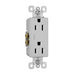 Pass And Seymour Radiant 15A/125V Decorator Duplex Receptacle Gray (885GRY)