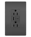 Pass And Seymour Radiant 3.1 Hybrid A/C USB And 15A Duplex Black (R26USBACBK)