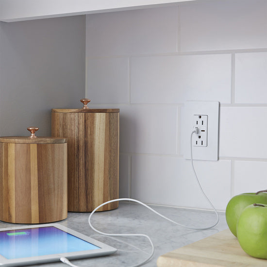 Pass And Seymour Radiant A/C Fast Charge USB And Duplex 15A White (R26USBAC6W)