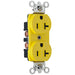 Pass And Seymour Receptacle Duplex 20A 125V Corrosion Resist Heavy-Duty Y (CR6307)
