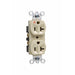 Pass And Seymour Receptacle Duplex 20A Commercial Isolated Ground Ivory (IG5362I)