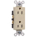 Pass And Seymour Receptacle Duplex SPLEX 15A 125V Side And Back Gray (26252GRY)