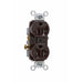 Pass And Seymour Receptacle Duplex Tamper-Resistant 20A/125V Brown (TR20)